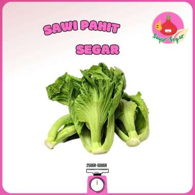 Sayur Segar - Sawi Pahit Segar / Mustard Greens 500 gr