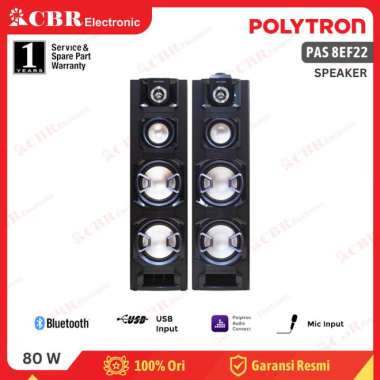 Speaker POLYTRON PAS 8EF22