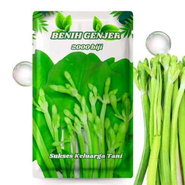 Bibit Benih Genjer 2000 Biji