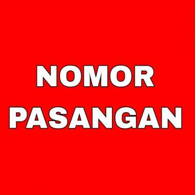 Telkomsel Pasangan Simpati dan Kartu AS Nomor Cantik Couple Kartu Perdana [4G LTE] 0813 11 696969 - 