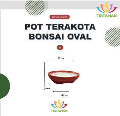 pot terakota bonsai oval / pot gerabah bonsai oval / pot bonsai tanah liat oval [khusus kurir instan