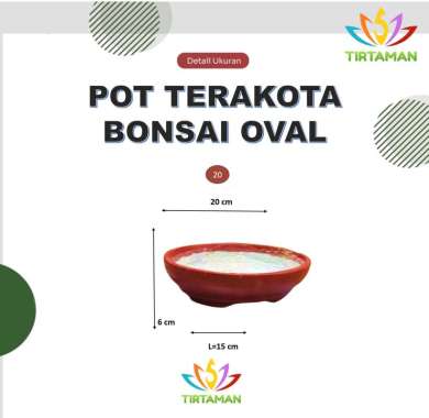pot terakota bonsai oval / pot gerabah bonsai oval / pot bonsai tanah liat oval [khusus kurir instan