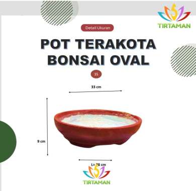 pot terakota bonsai oval / pot gerabah bonsai oval / pot bonsai tanah liat oval [khusus kurir instan
