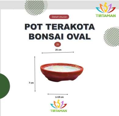 pot terakota bonsai oval / pot gerabah bonsai oval / pot bonsai tanah liat oval [reguler termasuk pa