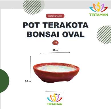 pot terakota bonsai oval / pot gerabah bonsai oval / pot bonsai tanah liat oval [reguler termasuk pa