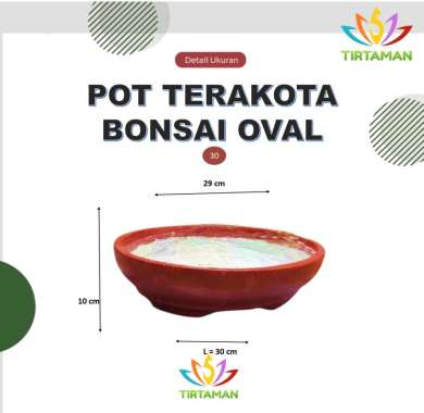 pot terakota bonsai oval / pot gerabah bonsai oval / pot bonsai tanah liat oval [reguler termasuk pa