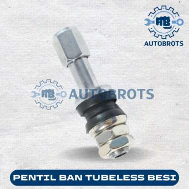Pentil Ban Motor/Mobil Tubles Besi / Ban Tubeless Steel 45MM Hitam BESI