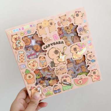 Box Sticker Cute Transparan Sticker Big Box Sanrio Labubu Capybara capybara 1