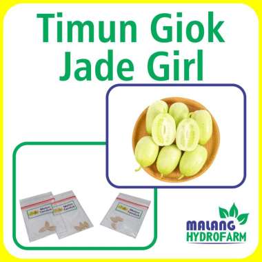 Benih Timun Giok Jade Girl Unggulan Berkualitas biji bibit repack mentimun hydroponik hidroponik pot