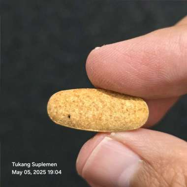 Umpan Mancing Pancing Ikan Fish Bait Tablet Kaplet Palet Pelet Asam Amino 1200mg 1200 mg