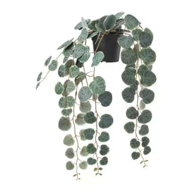 Tanaman artificial gantung dalam pot dia 9cm jenis Hoya/String of hearts WMO IK1125 FEJ INFORMA 3415