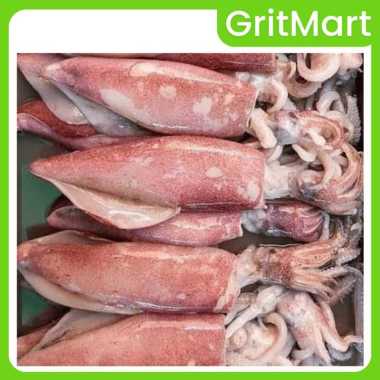 Cumi Basah Besar 1 kg | Cumi Basah Gede I Best Quality
