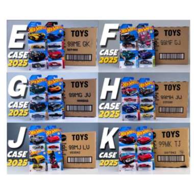 HOT WHEELS Hot Wheels Reguler Diecast Lot Karton Dus Segel SNI 72 Pcs C4982 25LOT K