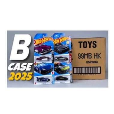 HOT WHEELS Hot Wheels Reguler Diecast Lot Karton Dus Segel SNI 72 Pcs C4982 25LOT B