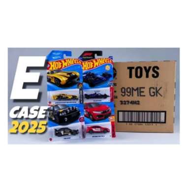 HOT WHEELS Hot Wheels Reguler Diecast Lot Karton Dus Segel SNI 72 Pcs C4982 25LOT E