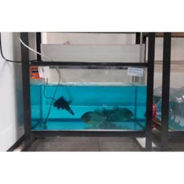 NIKITA Akuarium 60 x 30 x 35 Aquarium Hitam