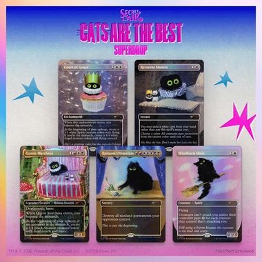 Jual Mtg Secret Lair Toby's Journey By Gary Baseman Foil Edition