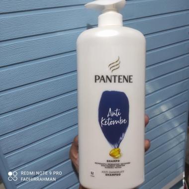 Promo Harga Pantene Shampoo Anti Dandruff 1200 ml - Blibli