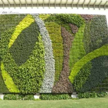 Tanaman Hias Vertical Garden//5 Jenis Tanaman Hias Vertical Garden