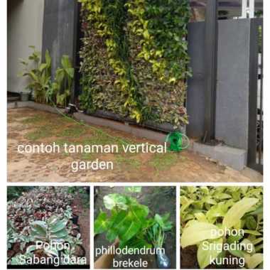 Pemasangan Taman Vertikal Garden