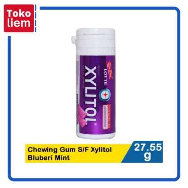 Lotte Chewing Gum Sugar Free Xylitol Blueberry Mint 27.5G