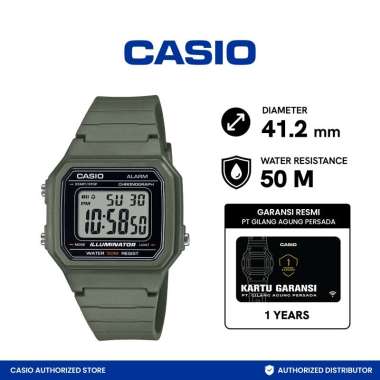 Jam Tangan Pria CASIO W-217H-3AVDF