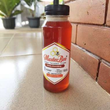 MASTEEBEE Madu Klanceng Trigona Itama 500 gram