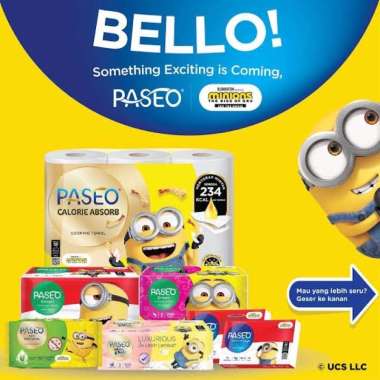 TERMURAH!! PASEO KITCHEN TOWEL TISU DAPUR 1 ROLL 2PLY 1 ROLL PASEO