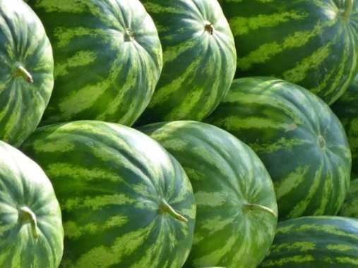 HasilSumberalaM Buah Semangka Merah Red Watermelon 1 buah 3 kg 3 kg