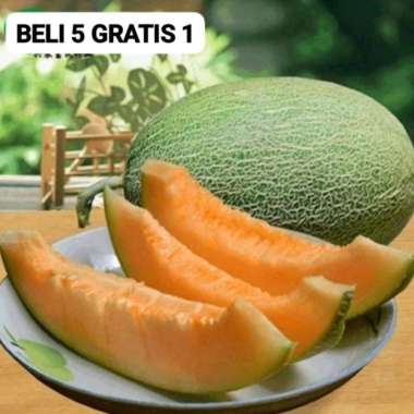 50 Benih Bibit Biji Melon SWEET NET HAMI, Honey dew, Premium import Hibrida Seeds, Super Manis