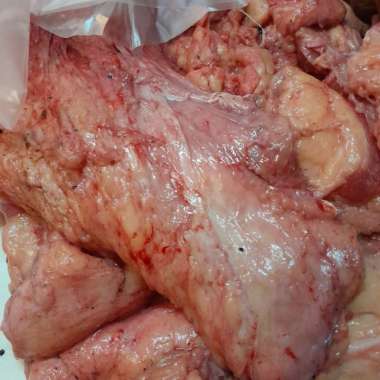 Beef Fat Fresh / Lemak Dada Sapi Lokal Segar / Rawon 500gr
