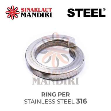 Ring Ver Stainless Steel 316 / Ring Per SS / Spring Washer M6 (1/4)