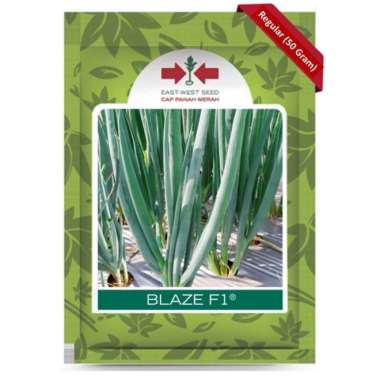 Cap Panah Merah - Benih Daun Bawang Blaze F1 Isi 50 Gram