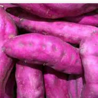 Ubi Ungu 1Kg