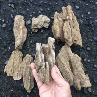 batu aquascape batu pasir aquascape sand stone aquascape aquarium 1 kg