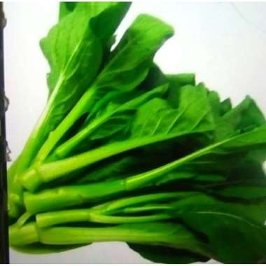 Baby Caisim / Sawi Manis Mini 500gr