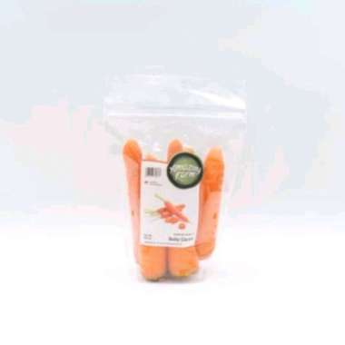 Baby Wortel Brastagi Hidroponik 500gr