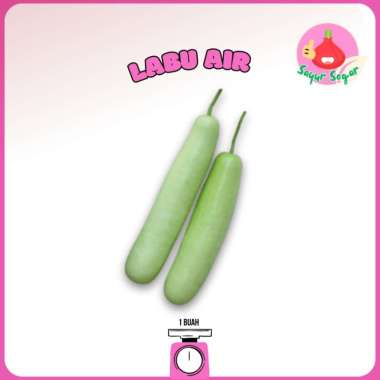 Sayur Segar - Labu Air Panjang Segar/Long Bottle Gourd 1 Buah