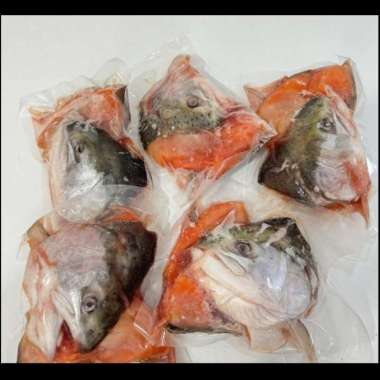 Ikan Salmon Head / kepala ikan salmon (norwegian salmon)