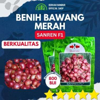Benih Bawang Merah Sanren Original Pabrik 800 biji
