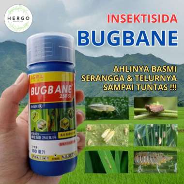 Insektisida BUGBANE Ampuh Mengatasi Serangga Wereng, Sundep, Thrips Sampai Telurnya