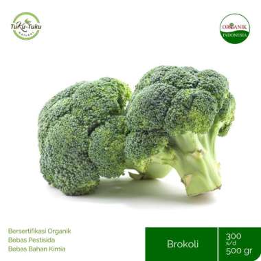 BROCCOLI ORGANIK BSP FARM 300-500GR