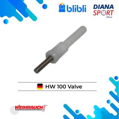 HW 100 Valve