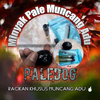 Minyak Pale Muncang Adu Super PALEDOG Berkualitas