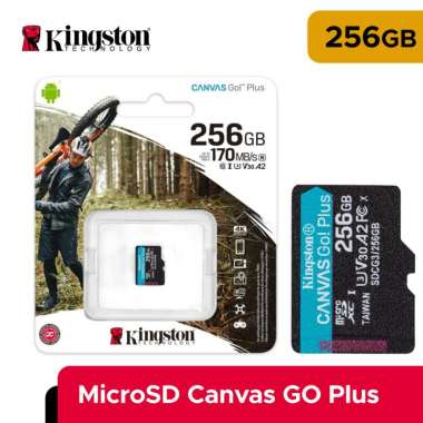 MicroSD Kingston 256 GB Canvas GO Plus Without Adapter SDCG3