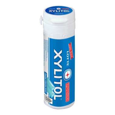 Xylitol permen karet blueberry mint / fresh mint / jeruk nipis mint / cool mint 26.1 gram fresh mint