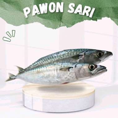 IKAN SALEM SEGAR