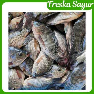 Ikan Mujair Hidup 1 Kg | Berikan Note Jika Ingin Dipotong