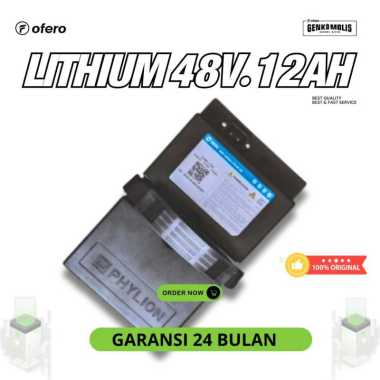 BATTERY LITHIUM 48V12AH