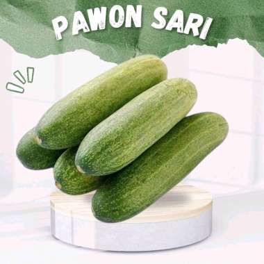 timun muda 1kg